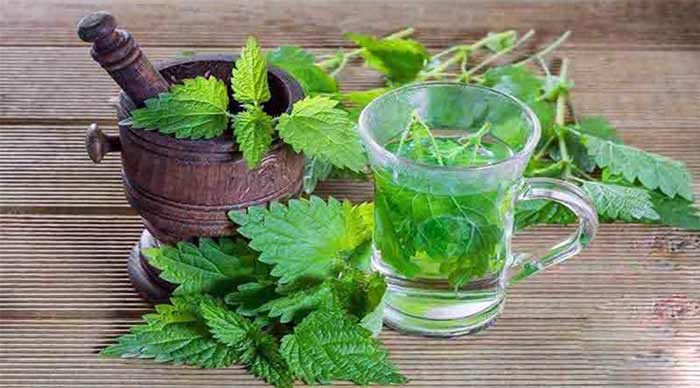 پوکی استخوان دمنوش گزنه