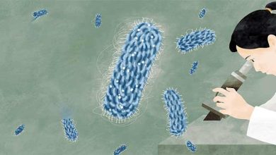 بیماری های عجیب و ترسناک