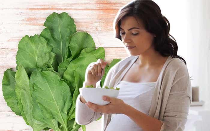 تغذیه بارداری اسفناج و و زیبایی جنین دختر